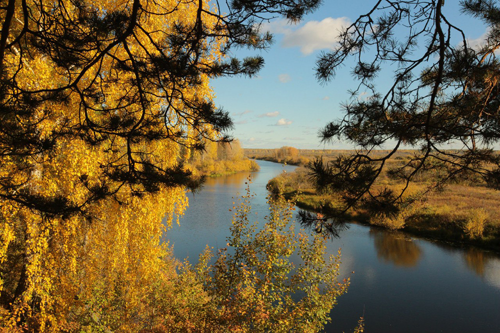 Дом Пионеров — фото 4
