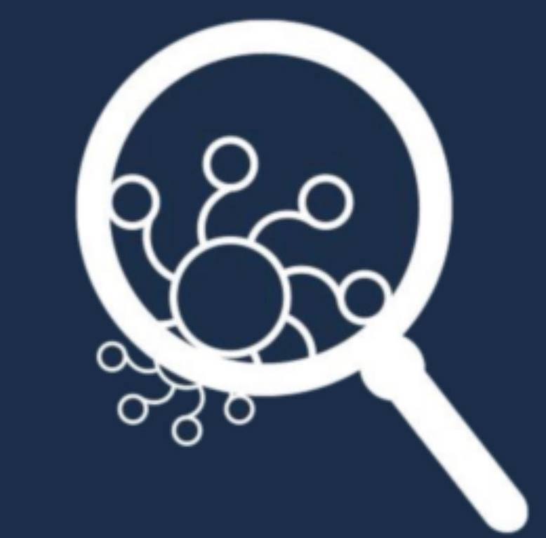 Нейрофокус — фото 6