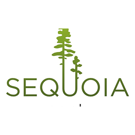 Парк активного отдыха для детей и взрослых "Секвойя парк" — фото 6