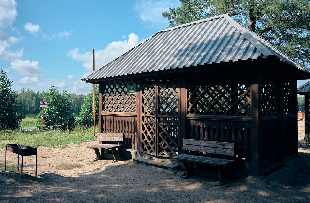 Пруд Лесной