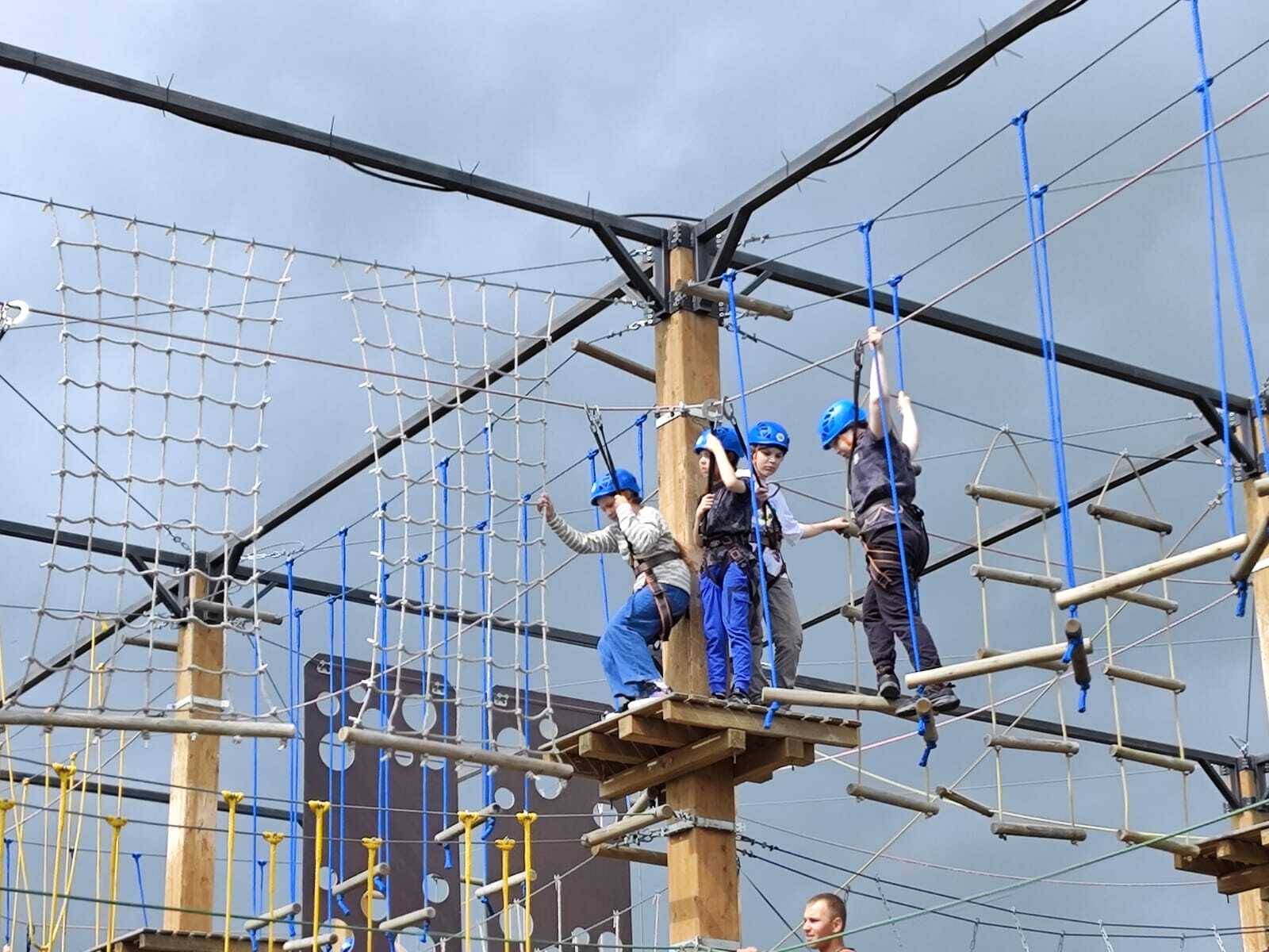 SOLOGY LINGUA — фото 2